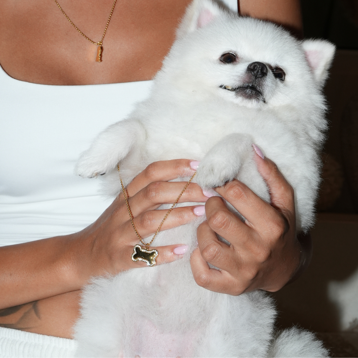 Fido