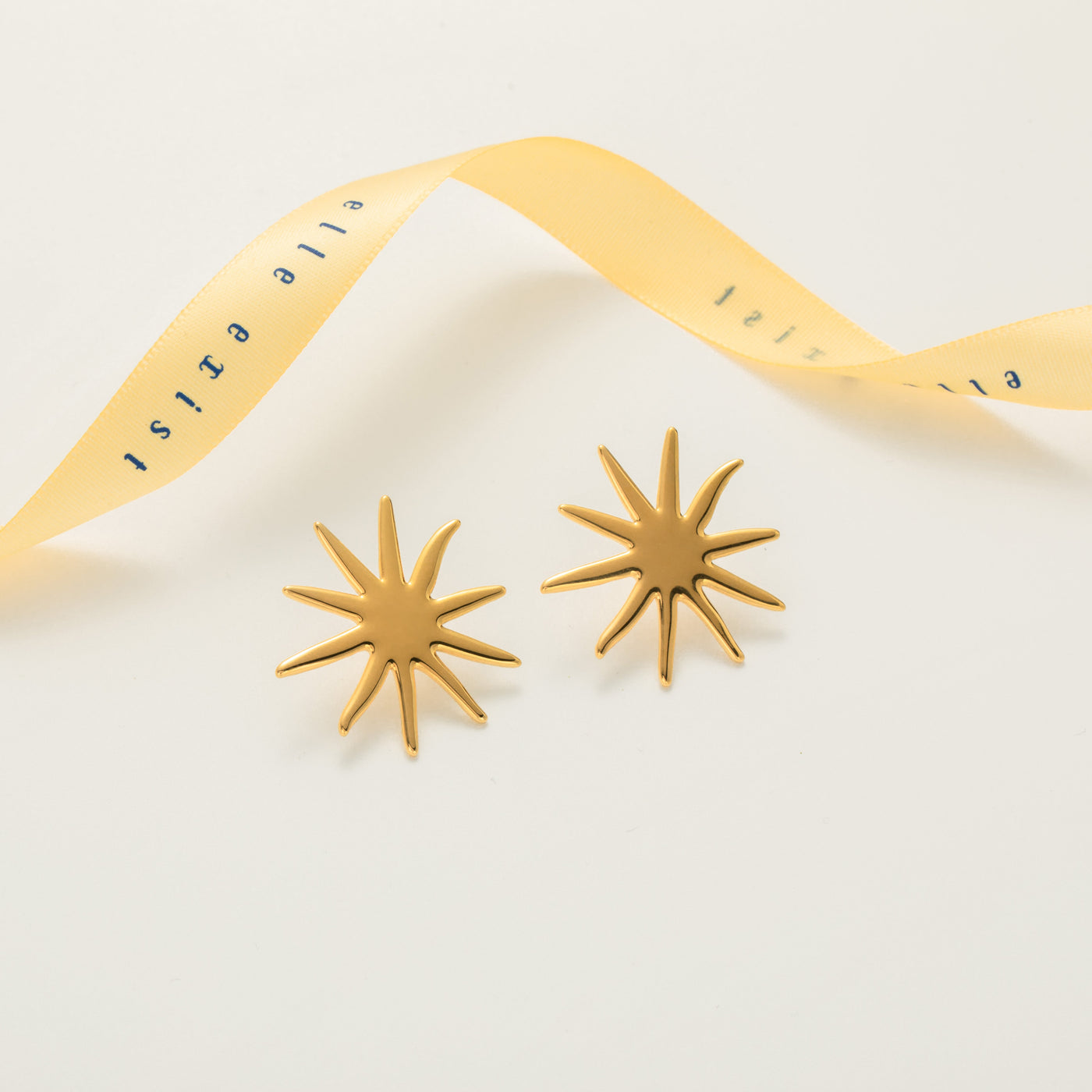 Stellar Bursts