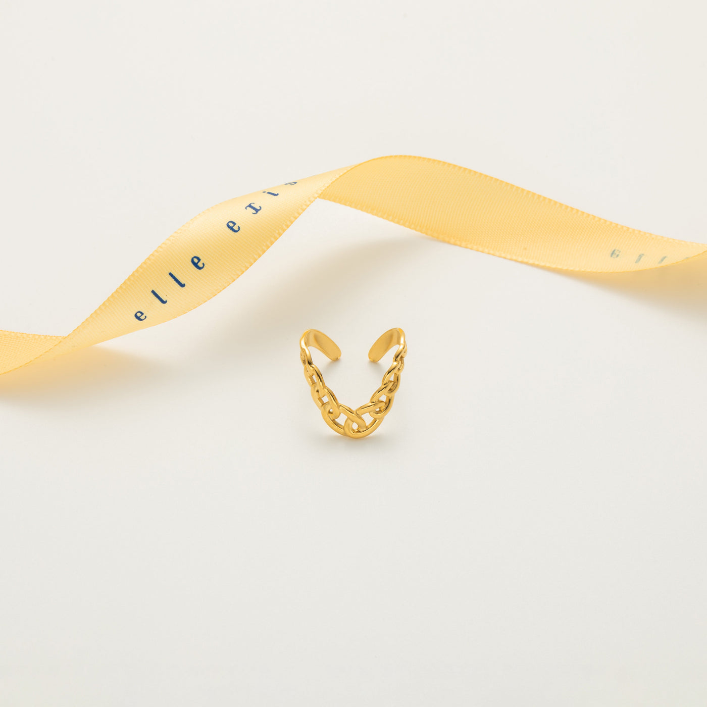 Chainlink Charm
