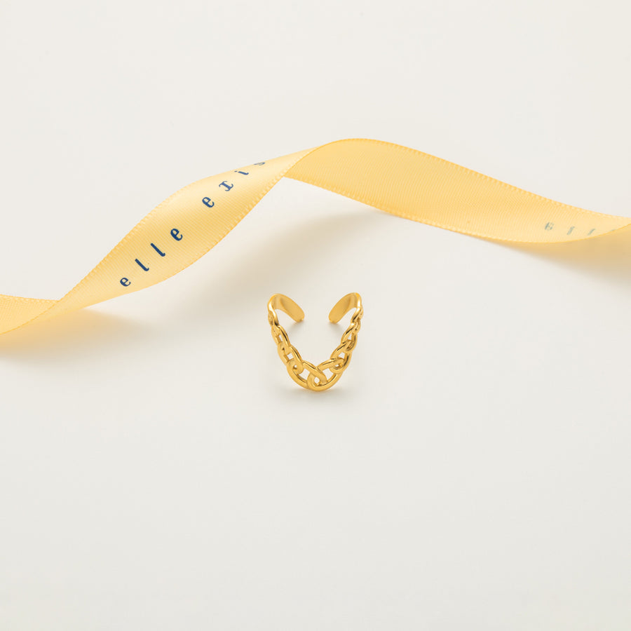Chainlink Charm