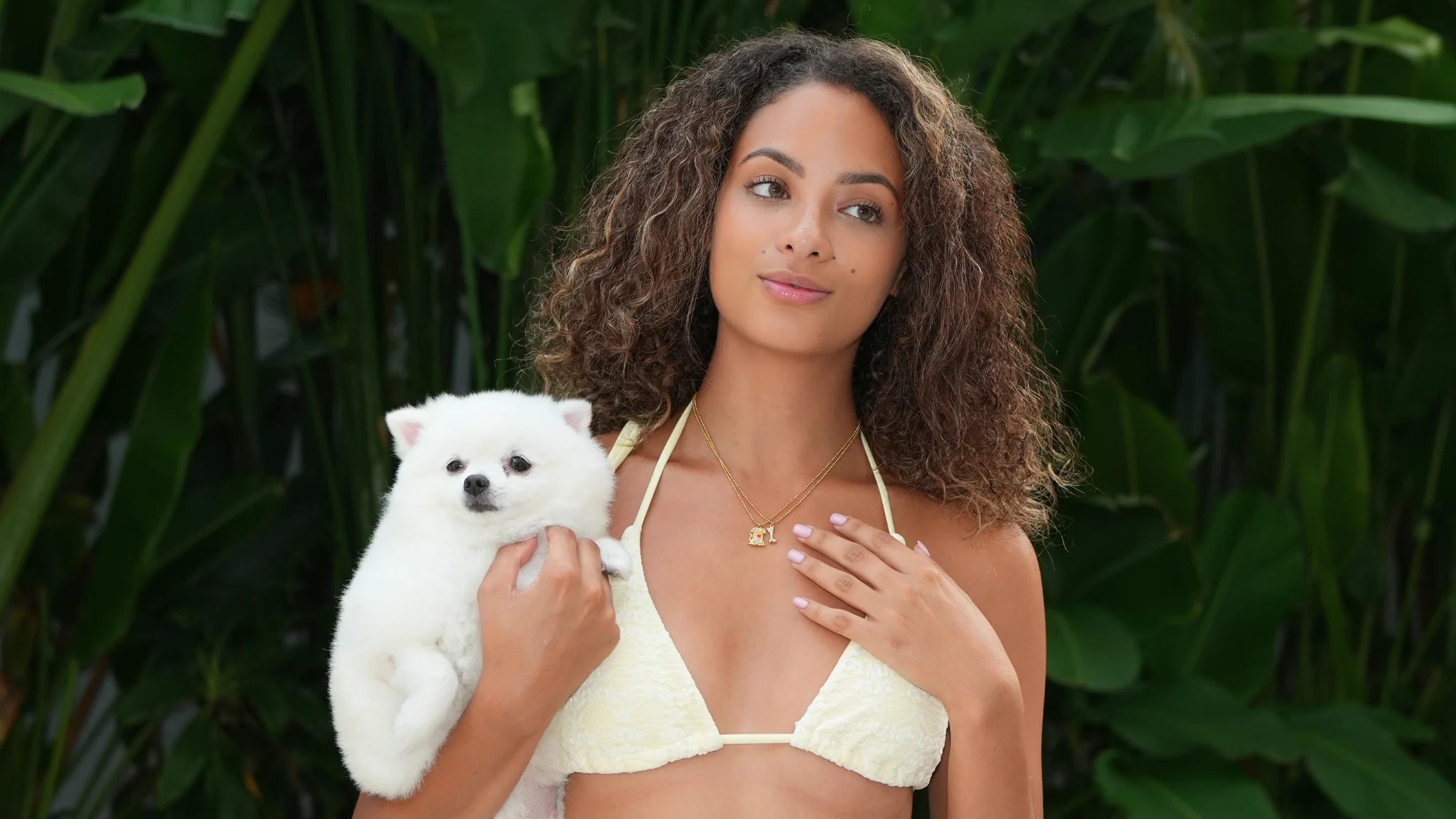 Jewelry from the Pets Collection